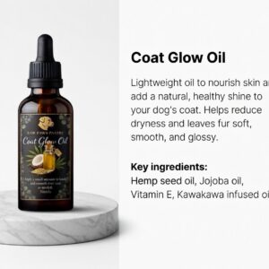 Coat Glow Oil